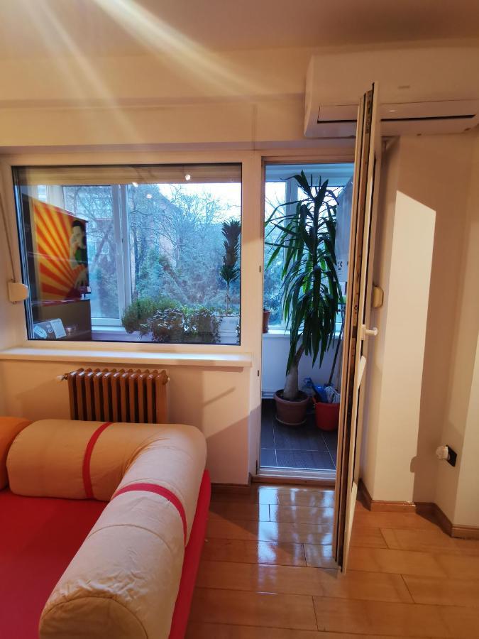 Comfy & Pleasant 10 Min Walk To Downtown