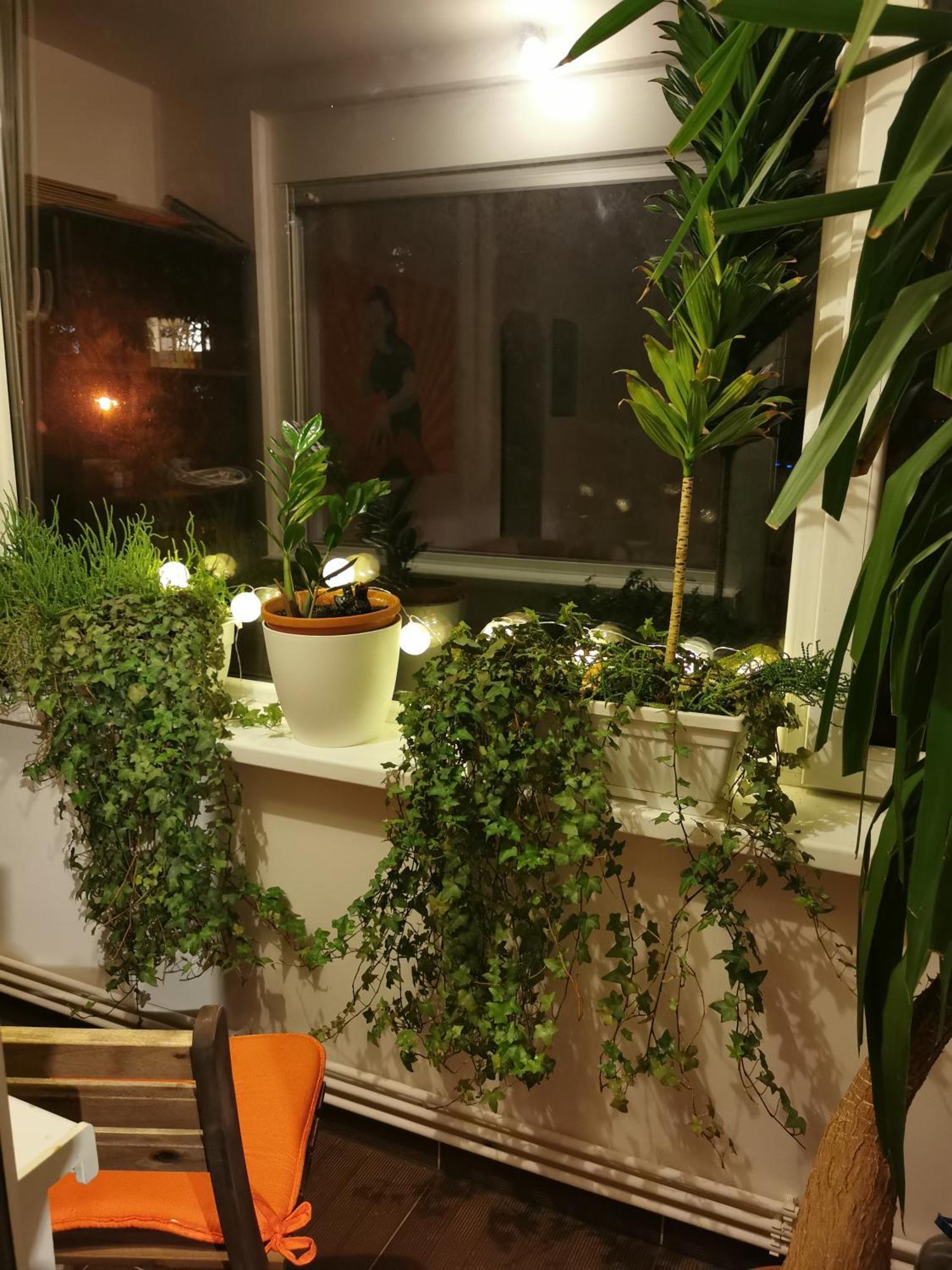 Comfy & Pleasant 10 Min Walk To Downtown Appartement