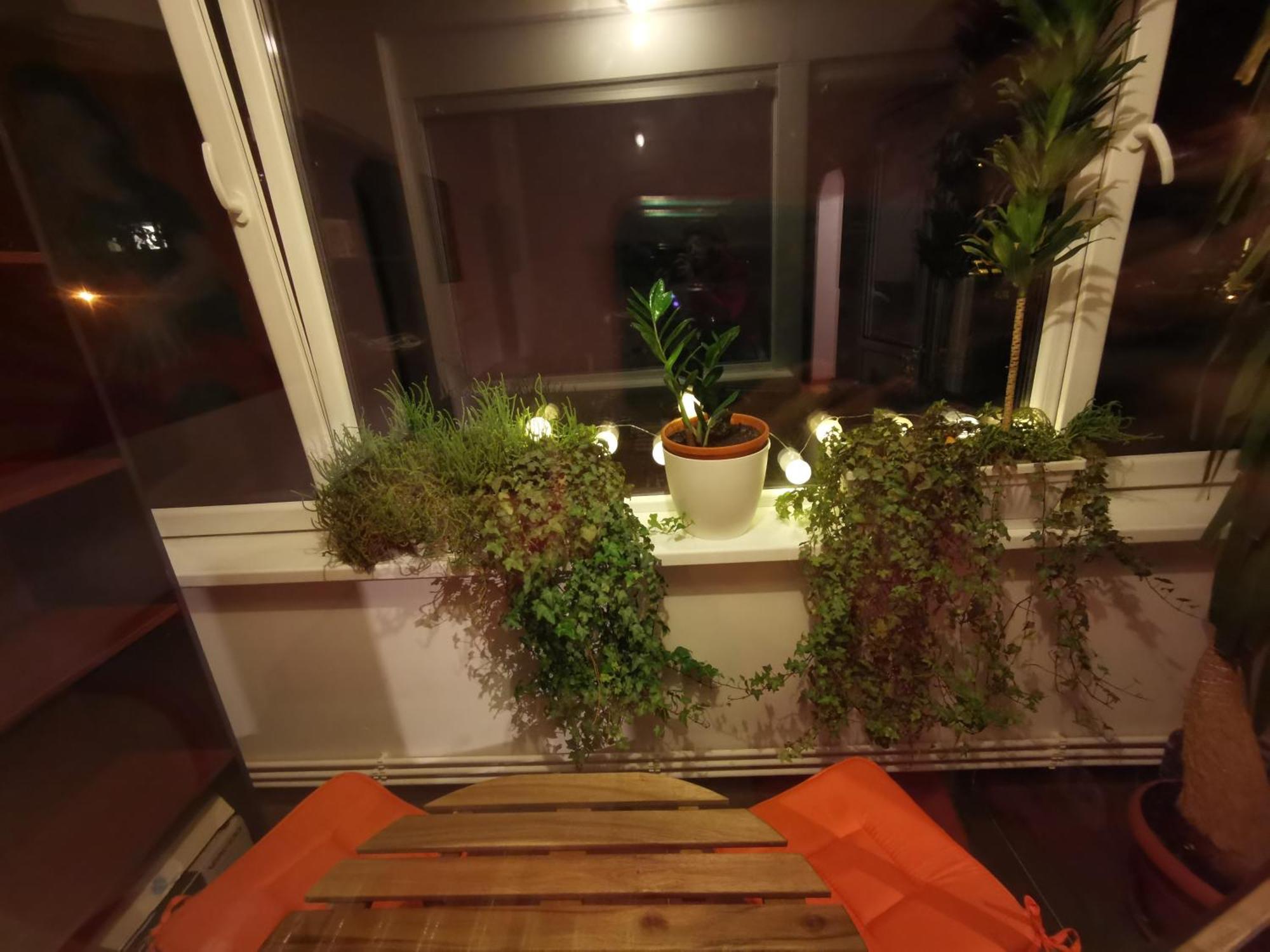 Appartement Comfy & Pleasant 10 Min Walk To Downtown